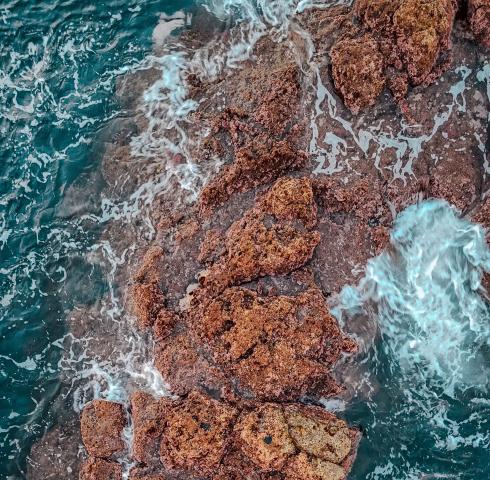 Meer